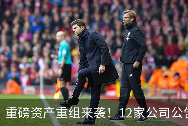 重磅资产重组来袭！12家公司公告内容分析，7家股权并购，3家重组停牌